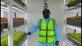 OptiClimatefarm innovative indoor farm growing facility