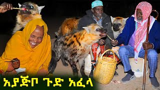 ✅ የሀረርን ጅቦች አገኘናቸው ። ያልጠበቅነው ነገር ተፈጠረ !  @Tossatube.   #ethiopia