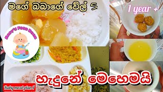 මගේ බබාගේ කෑම වේල් 5 හැදුනේ මෙහෙමයි-Baby Meal Plan 1- Baby's food book-Sinhala recipe