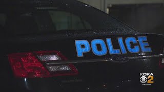 Leaders address questions about regional police force in 3 Beaver County boroughs