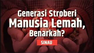 Gen Z Generasi Strawberry yang Lemah, Manja dan Egois, Emang Iya?