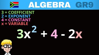 Algebra Grade 9: Coefficient, variable, constant