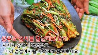 상추 쌈싸먹지 말고 김치로 즐겨보세요!! 물김치 나오기 전에 쌉싸름한 맛으로 입맛 돋우는 데 완전 최고.