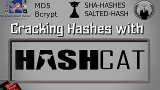 HASHCAT Tutorial for Beginners || SHA,MD5,BCRYPT & salted hash ||Exercise Also ||