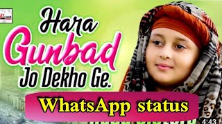 Hara gunbad jo dekhoge zamana bhul jaoge huda sister whatsapp status