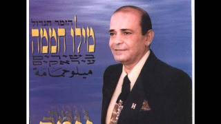 מילו חממה עבודיה-אמס אול יום Milo Hamama