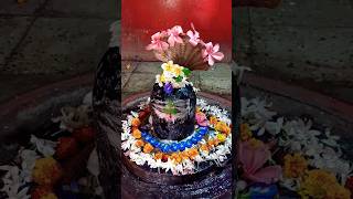 श्री त्र्यंबकेश्वर 🕉️🙏 #ग्रामदैवत #shiv #harharshambhu #mahadev#shorts #viral #shortvideo #om #shiva