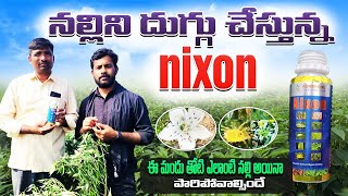 # మీ మిరప తోటలో ఎలాంటి నల్లి ఉన్న # nixon తో మాడి మసి అయిపోతుంది..? # best result 100% కంట్రోల్