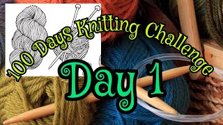 DAY 1 of 100 days of knitting ##sadies100dayknitting