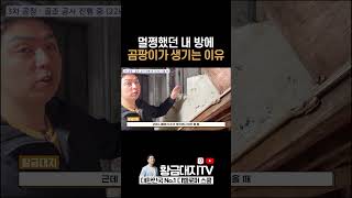 멀쩡했던 내 방에 곰팡이가 생기는 이유