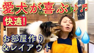 愛犬が安全！快適！なお部屋の作り方＆レイアウト【№156】