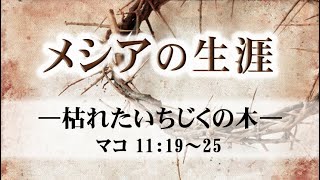 メシアの生涯（155）―枯れたいちじくの木― マコ11：19～25