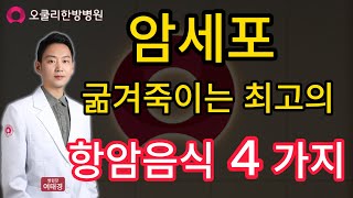 암세포 굶겨죽이는 최고의 항암음식 4가지