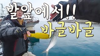 [다리tv] 지금 여기!! 주차하고 바로!!! 전어 파티!!!