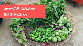 ఈరోజు మా పంట. ఇంత వస్తుందని అనుకోలేదు Jumbo Harvest రకరకాల కూరలు #harvest #gardening