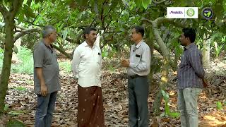 ತೆಂಗಿನಲ್ಲಿ ಮೂರು ದಶಕಗಳ ಕೋಕೋ ತೋಟ -  ಶ್ರಿ ರಮೇಶ | Cocoa in Coconut Plantation