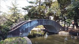 東京風景 都立石神井公園