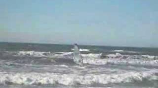 Windsurfing the Mistral