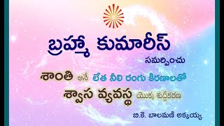 3.శాంతి అనే లేత నీలిరంగు కిరణాలతో శ్వాస వ్యవస్థ యొక్క శుద్దీకరణ(Shanti Telugu)-Meditation Commentary