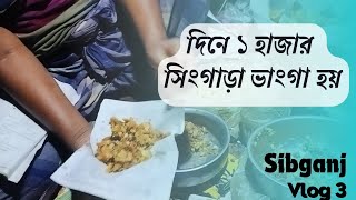 দিনে ১ হাজার + সিংগাড়া ভাংগা হয়।😱শিবগঞ্জের বিখ্যাত চমচম। Sibganj | Vlog 3