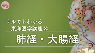 【サルでもわかる東洋医学講座③】肺経・大腸経からみる体のバランス