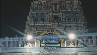 வைத்திய வீரராகவப் பெருமாள்.திருவள்ளூர்.