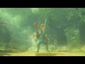 Top 10 Best Weapons  Zelda Breath of the Wild
