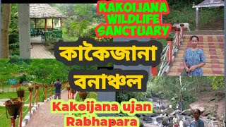 Kakoijana Wildlife Sanctuary, Bongaigaon district/ কাকৈজানা সংৰক্ষিত বনাঞ্চললৈ যাওঁ বলক