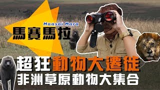 廖科溢【馬賽馬拉】超狂非洲動物大遷徙 來看動物方程式真實版!