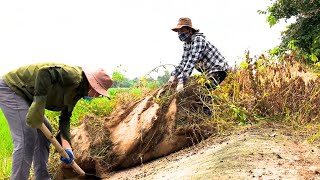 Volunteer to clean up an abandoned city sidewalk, We take pride in what we do.