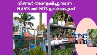 നിങ്ങൾ അന്വേഷിച്ച് നടന്ന  Indoor plants and pots ഇവിടെ ഉണ്ട് |#shorts