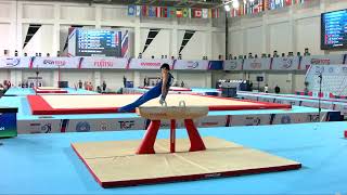 KHACHATRYAN Mamikon (ARM) - 2023 Artistic Junior Worlds - Qualifications Pommel Horse