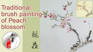 Traditional brush painting of Peach blossom       桃花