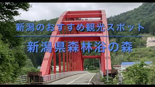 新潟のおすすめ観光スポット　浅草岳公園　新潟県森林浴の森