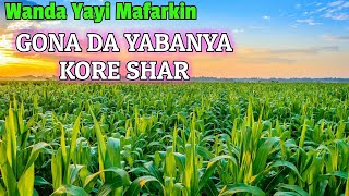 Wanda Yayi Mafarkin Gona Da Yabanya Kore Shar