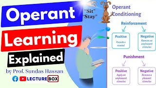 Operant conditioning theory of learning in Hindi Urdu Skinner Rat experiment Punishment & Reward