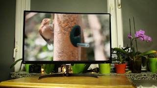 Test zakrzywionego monitora - Philips 278E - 27\