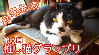 第三回#推し猫グランプリ　結果発表　2022