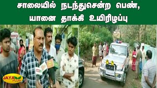 சாலையில் நடந்துசென்ற பெண், யானை தாக்கி உயிரிழப்பு | Ooty Elephant Attack