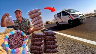 رحلة جمع النبق 🏃 في البرية وتحدي بيعه على الطريق السريع 👋⛔ 🚙🚑🚒🚓🚓