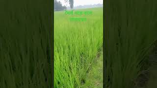 যখনই দেখবেন কোন বদনামের #shortvideo #motivationwaz #islamicvideo  স্বীকার হবে #youtube