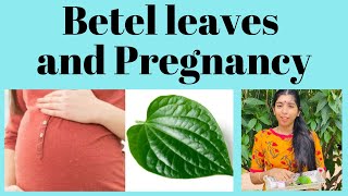 Betel leaves and Pregnancy
