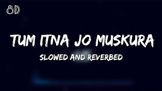 Tum Itna Jo Slowed and Reverbed Lofi|8D Audio |Papon|Jagjit Singh|#HitS #theofficialhits