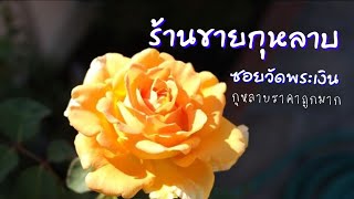 มาร้านขายกุหลาบ | ในศูนย์พันธุ์ไม้ซอยวัดพระเงิน จ.นนทบุรี | EP.109 | คนบ้ากุหลาบ