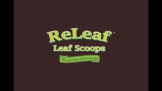 Best Leaf Scoops, USA's Favorite Trusted Leaf Removal Tools On Amazon.