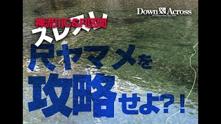 神流川C\u0026R区間一般区のスレスレ尺ヤマメを攻略せよ？！