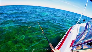 Boat Fishing South Australia | King George Whiting, Flathead & Squid Fishing | Yorke Peninsula -Ep11