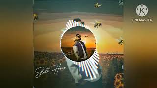 Hustla (Bass-Bossted) Garry Sandhu New Punjabi Song Bass-bossted Latest Punjabi Song 2024