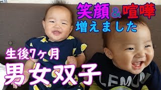 【男女双子】最近笑顔と喧嘩が増えてきた！生後7ヶ月 mix twins casual daily life