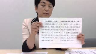 解説「自民党憲法改正草案のここが問題だ」02